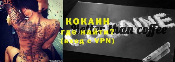 индика Бугульма