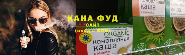 индика Бугульма