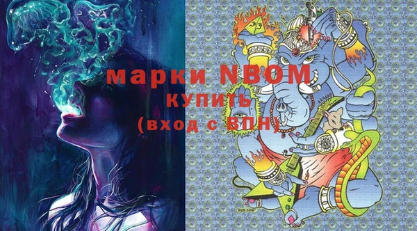 индика Бугульма