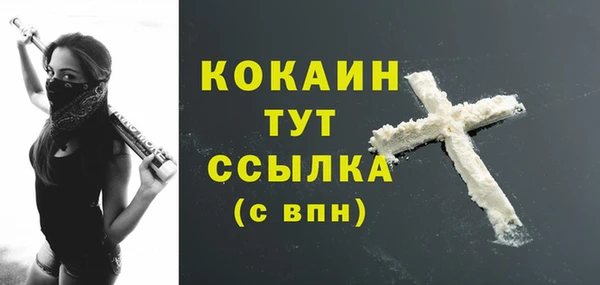 индика Бугульма