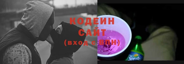 индика Бугульма