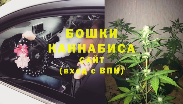 индика Бугульма