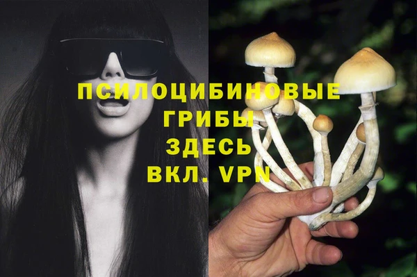 марки lsd Бронницы