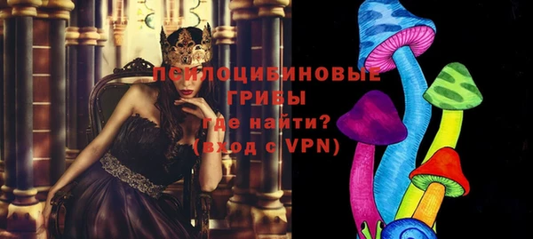 индика Бугульма