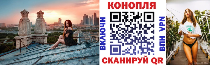 mega рабочий сайт Братск Конопля OG Kush
